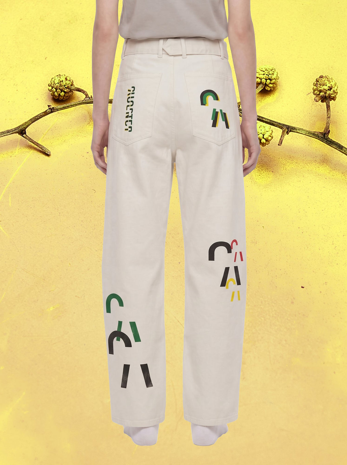IT AIN'T THE MONEY PANTS